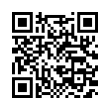 QR Code (код быстрого отклика)