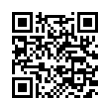 QR Code (код быстрого отклика)