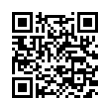 QR Code (код быстрого отклика)