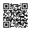 QR Code (код быстрого отклика)