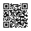 QR Code (код быстрого отклика)