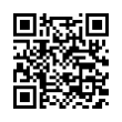 QR Code (код быстрого отклика)