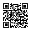 QR Code (код быстрого отклика)