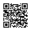 QR Code (код быстрого отклика)