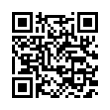 QR Code (код быстрого отклика)