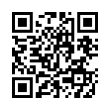 QR Code (код быстрого отклика)