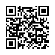 QR Code (код быстрого отклика)
