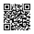 QR Code (код быстрого отклика)